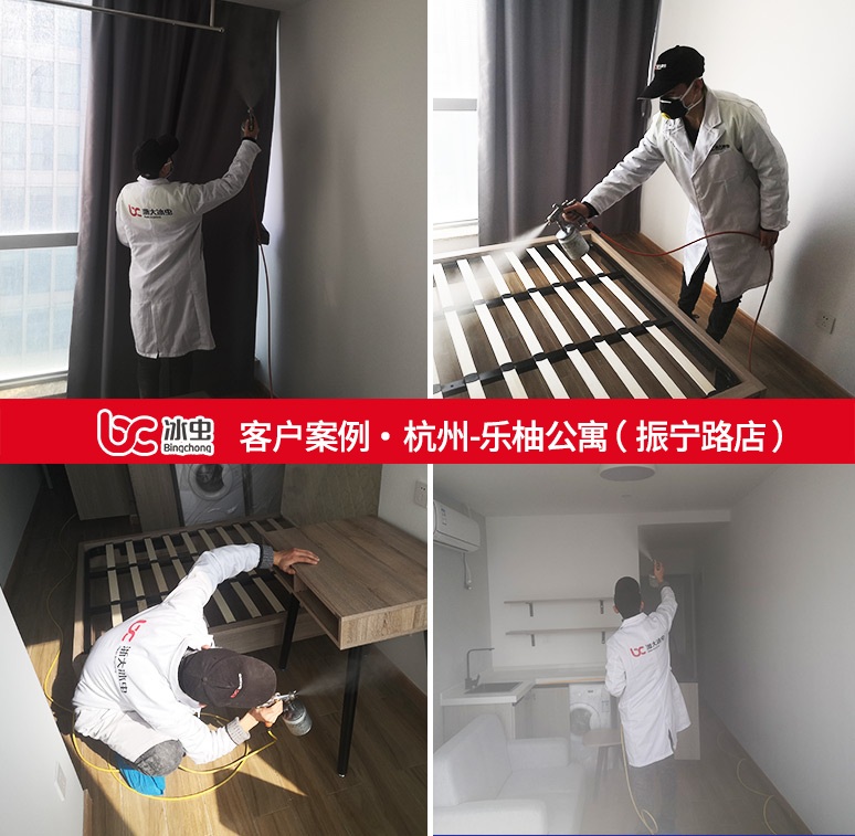 冰虫除甲醛案例-乐柚公寓(杭州振宁路店)