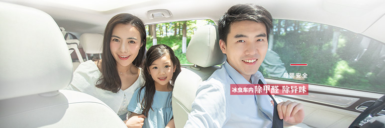 冰虫车内除甲醛除异味