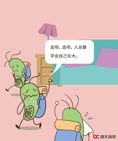 一只甲醛的自白