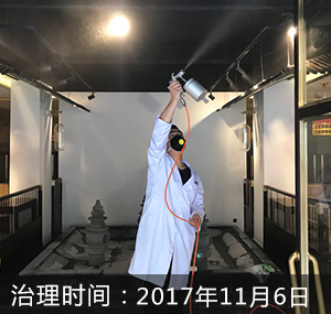 隐湖上·悦茶馆