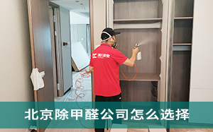 嘉兴专业除甲醛公司怎